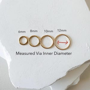 F136 Implant Grade Gold PVD Plated Solid Titanium HINGED Segment Nose Ring Clicker, Daith Hoop, 20G, 18G, 16G, 14G