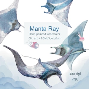 Puede incluir: Ilustración en acuarela con múltiples mantarrayas en tonos azules y grises. La imagen incluye el texto "Manta Ray" y "Hand painted watercolor Clip art + BONUS jellyfish". La imagen está etiquetada como 300 dpi PNG.