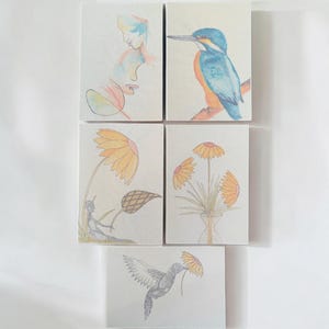 5 Leuke verschillende wenskaarten, kaart met zelf getekende ontwerpen, duurzame kaarten met vrolijke afbeeldingen met gratis envelop.