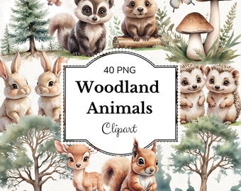 Watercolor Woodland Animals Clipart: Forest Creatures PNG (Digital Download)