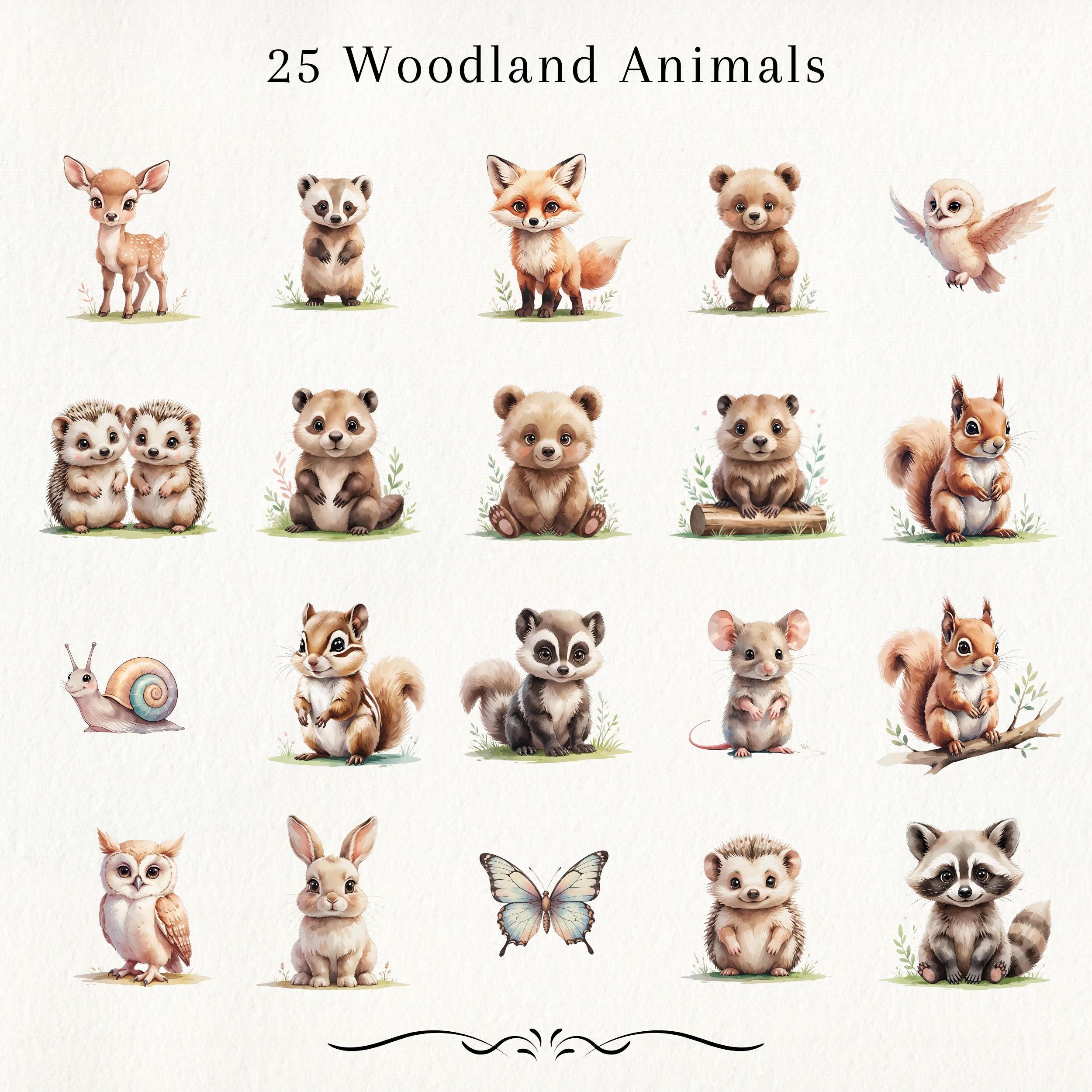 Watercolor Woodland Animals Clipart: Forest Creatures PNG (digital ...