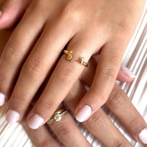 Anillo de perro salchicha hecho a mano ajustable en plata de ley 925 bañada en oro con tarjeta de regalo hecha de lindo perro salchicha y sobres para regalar