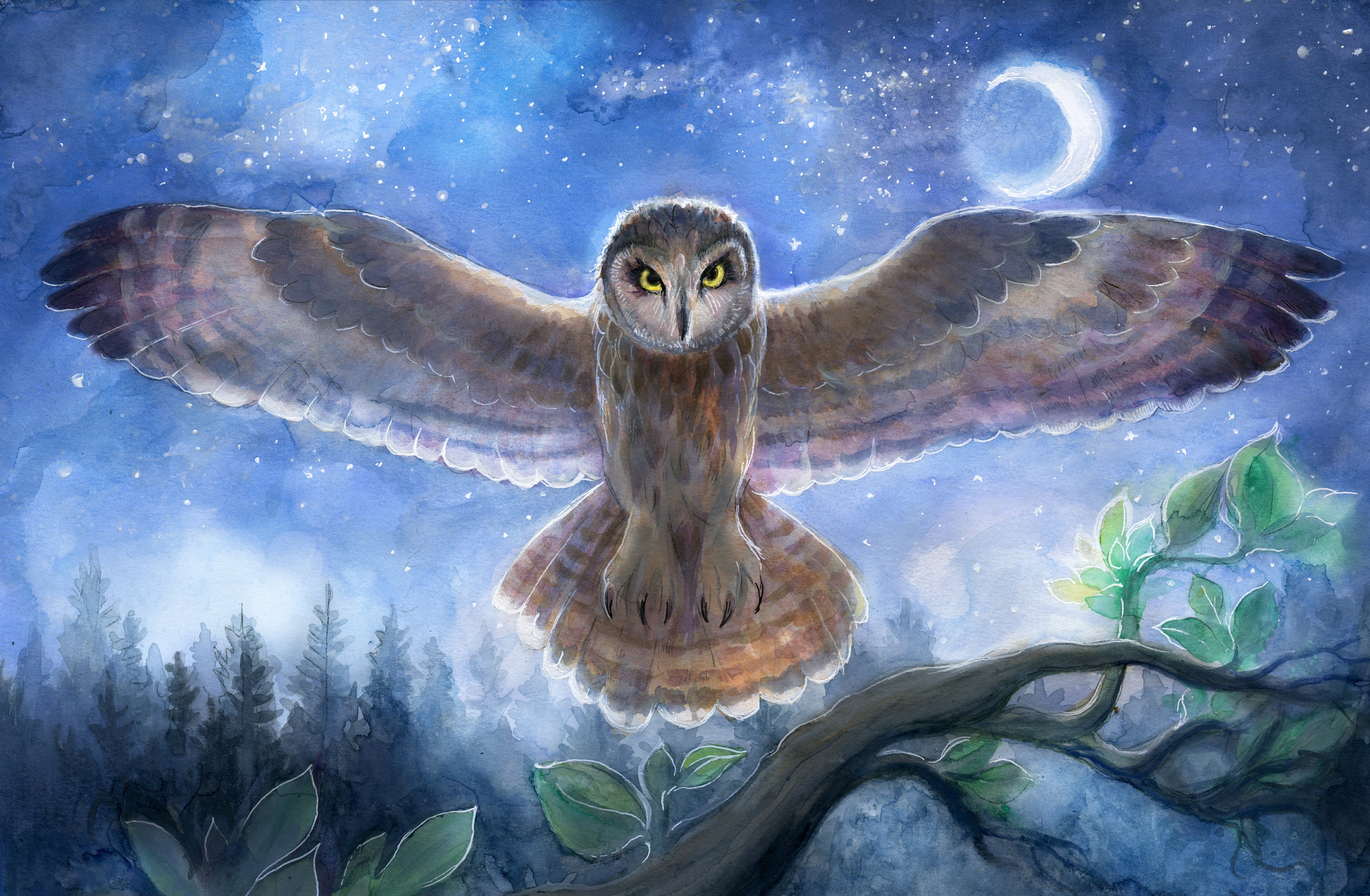 Spirit Owl   5x8  on  8x10  or 7x9 on 10x12and more