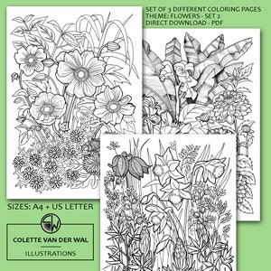Flowers - set2, coloring pages - set of 3 different images - hand illustrated - instant download - Adult coloring - PDF Size: A4 + US Letter