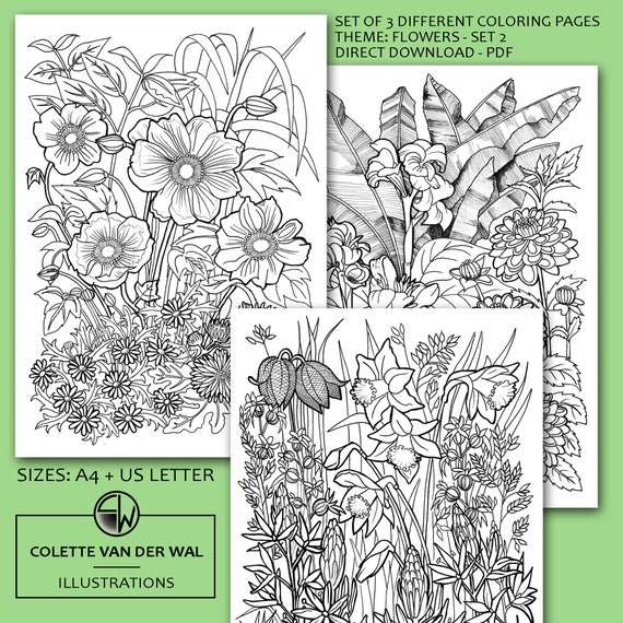 Hand Illustrated Flower Coloring Pages - Set of 3 (PDF)