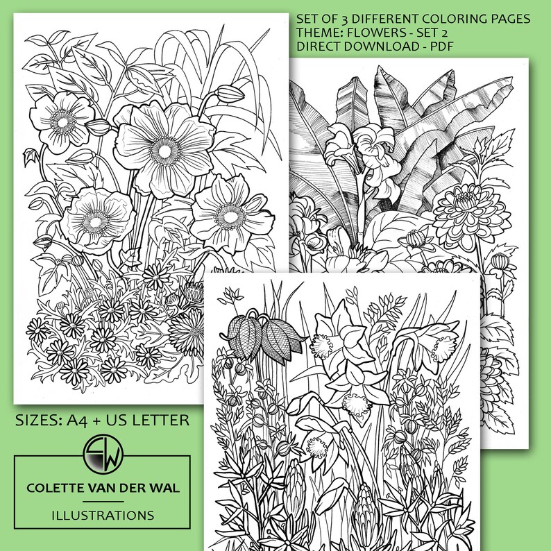 May include: Set of three printable coloring pages featuring detailed line drawings of flowers. The pages are titled "Flowers - Set 2" and are available for direct download as a PDF file. The sizes are A4 and US Letter.