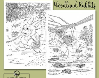 Whimsical Woodland - Lapins set1, pages à colorier pour adultes - ensemble de 6 images - illustré à la main - téléchargement instantané - Taille PDF : A4 + US Letter