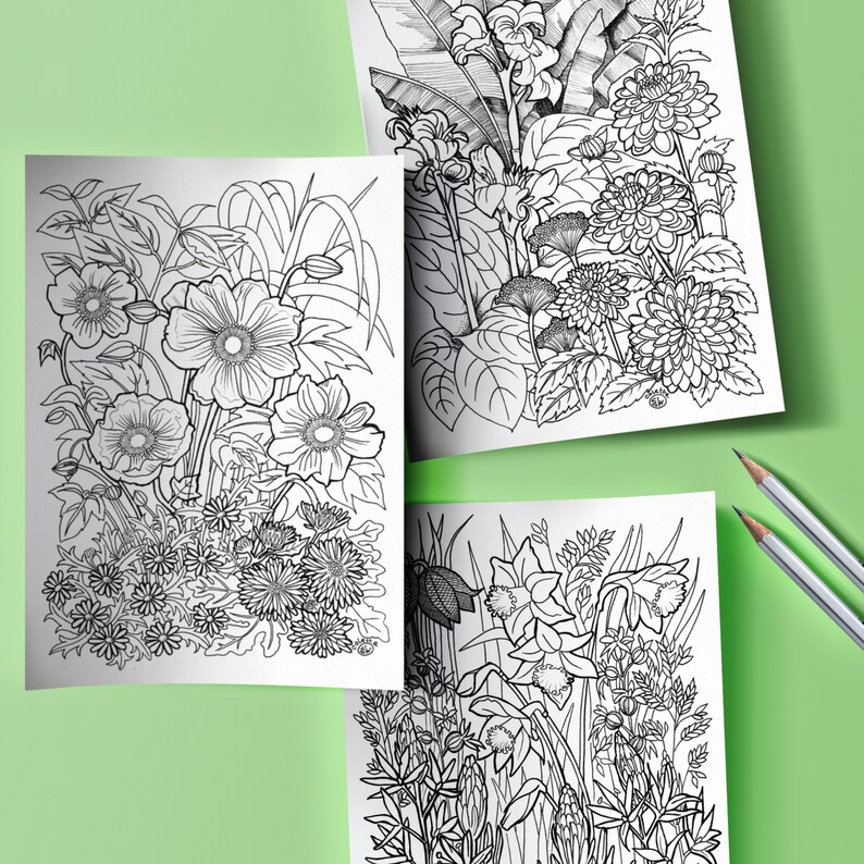 May include: Three black and white line drawings of different flower arrangements. The first image shows a bouquet of anemones, the second shows a bouquet of dahlias, and the third shows a bouquet of daffodils.