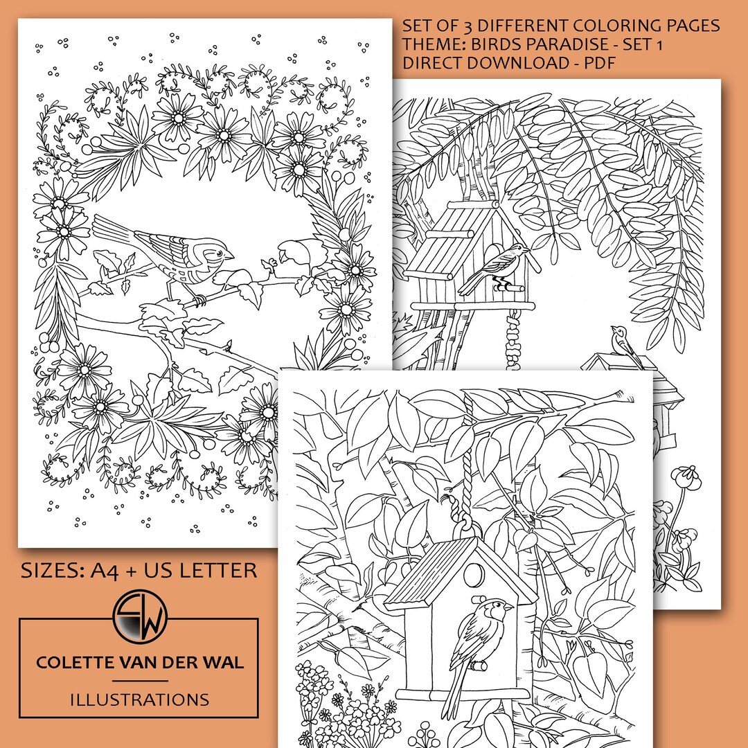 Bird Paradise - Set1, Adult Coloring Pages - Set of 3 Different Images ...