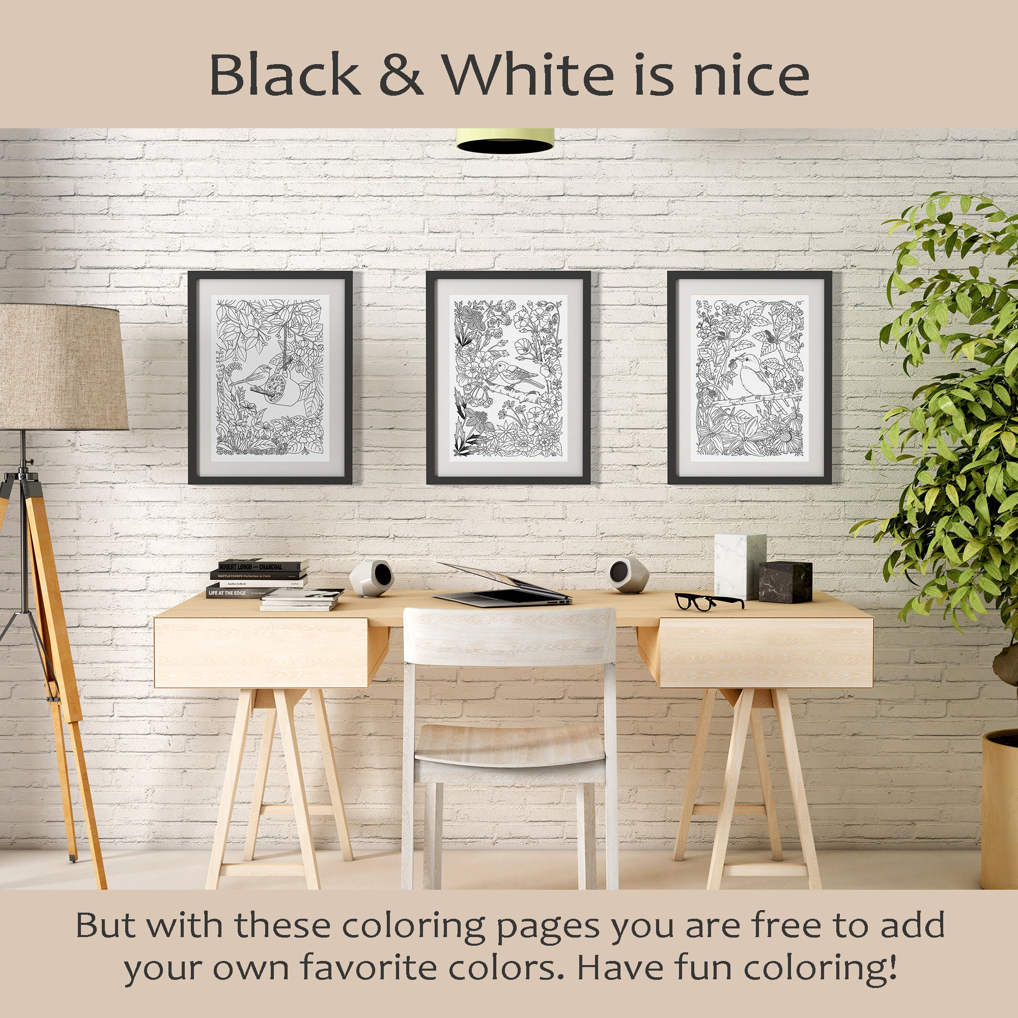 Bird Paradise - Set2, Adult Coloring Pages - Set of 3 Different Images ...