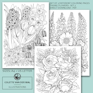 Flores - set3, dibujos para colorear - conjunto de 3 imágenes diferentes - ilustrado a mano - descarga instantánea - Colorear para adultos - Tamaño pdf: A4 + US Letter