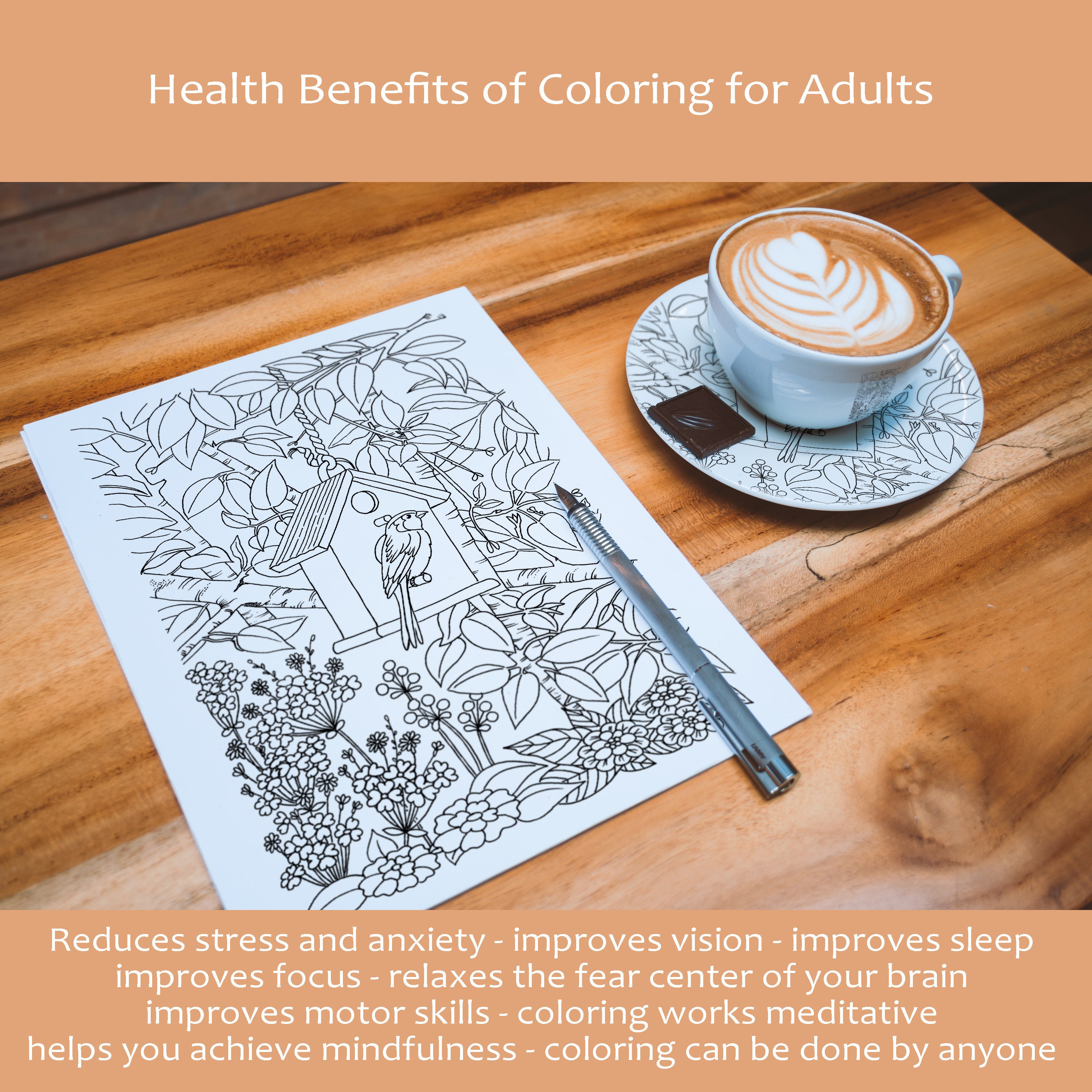 Bird Paradise - Set2, Adult Coloring Pages - Set of 3 Different Images ...