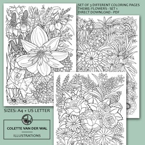 May include: Set of three black and white flower coloring pages. The pages feature detailed floral illustrations, including roses, daisies, and other botanical designs. Text on the image reads "SET OF 3 DIFFERENT COLORING PAGES THEME: FLOWERS - SET 1 DIRECT DOWNLOAD - PDF" and "SIZES: A4 + US LETTER".