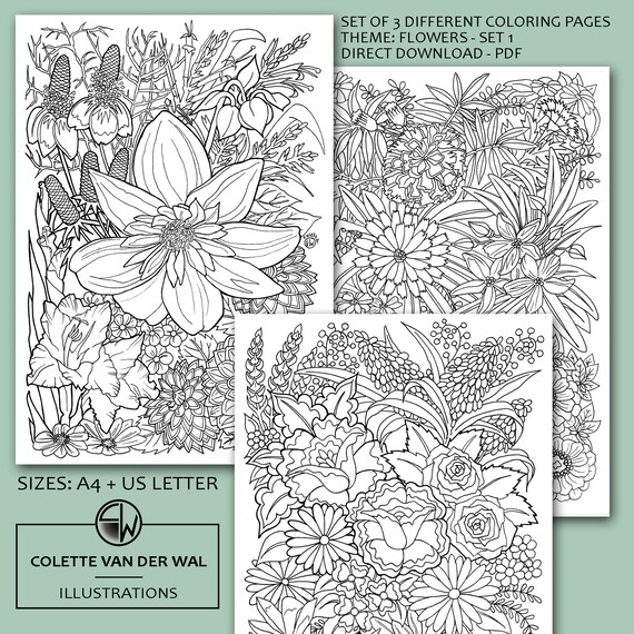 Hand-Drawn Flowers Coloring Pages – Set of 3 (PDF Download)