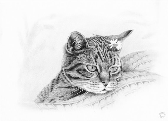 Figaro Le Chat Noir Et Blanc Art Print De Mon Illustration Etsy Figaro Le Chat Noir Et Blanc Art Print De Mon Illustration Etsy