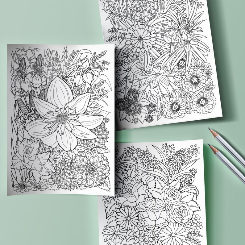 May include: Three black and white floral coloring pages with intricate designs of various flowers and foliage. Two gray pencils are placed on a light green surface, suggesting a creative activity. The pages are ready for coloring.