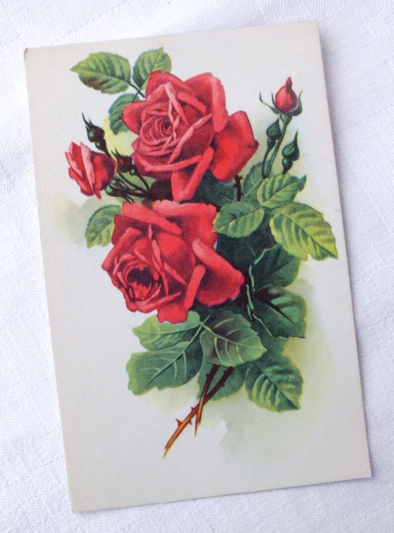 Carte Postale Anniversaire Fleur Rose Rouge Vintage Papeterie Etsy