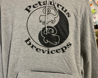 Pouch Pocket Hoodie Petarus breviceps