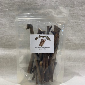 Fresh Eucalyptus Chew Sticks