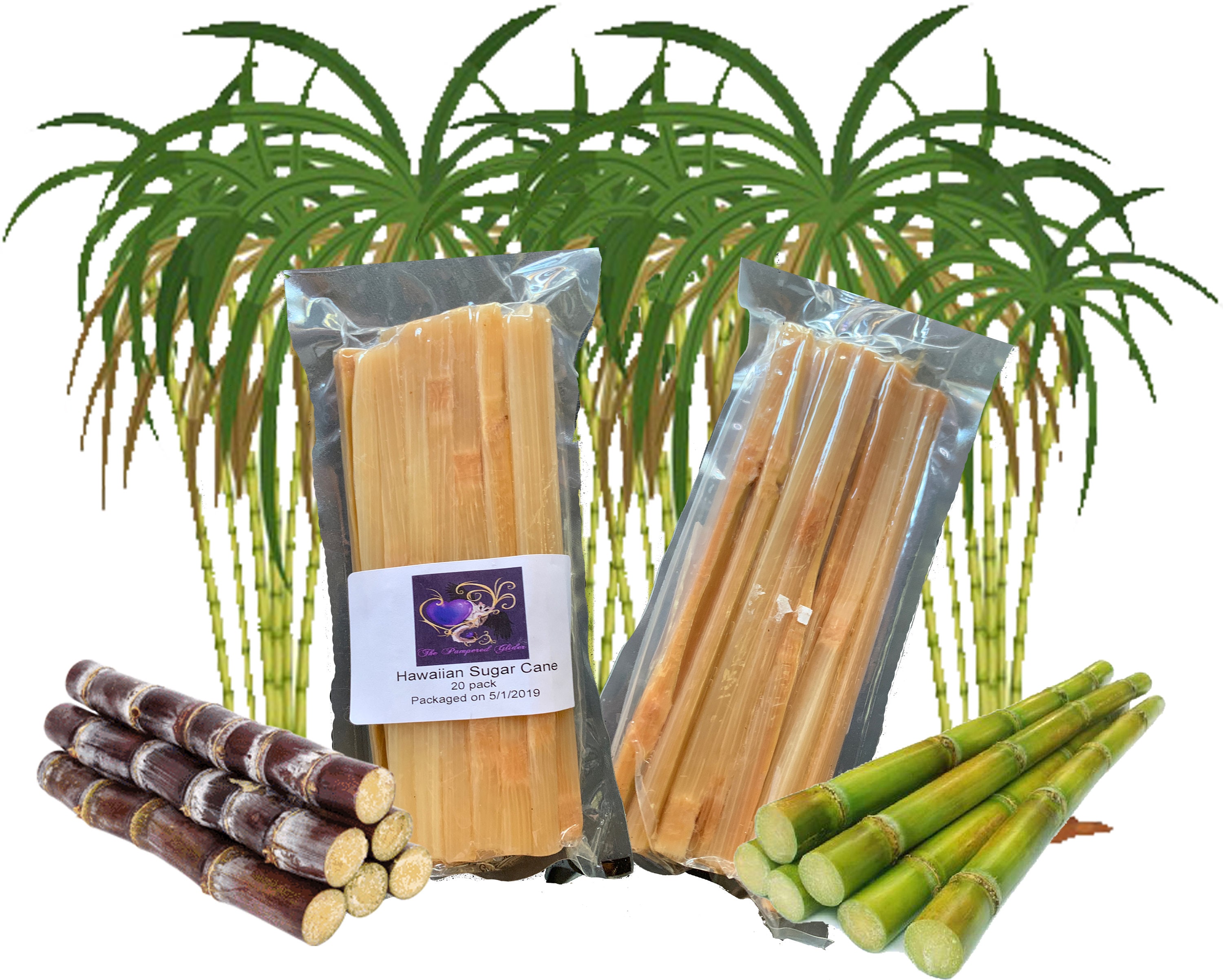 Hawaiian Sugar Cane Etsy