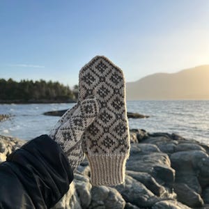 Op de afbeelding: Een paar gebreide wanten met een geometrisch patroon in tinten bruin en wit. De wanten worden tegen een achtergrond van een rotsachtige kustlijn en een blauwe lucht gehouden.