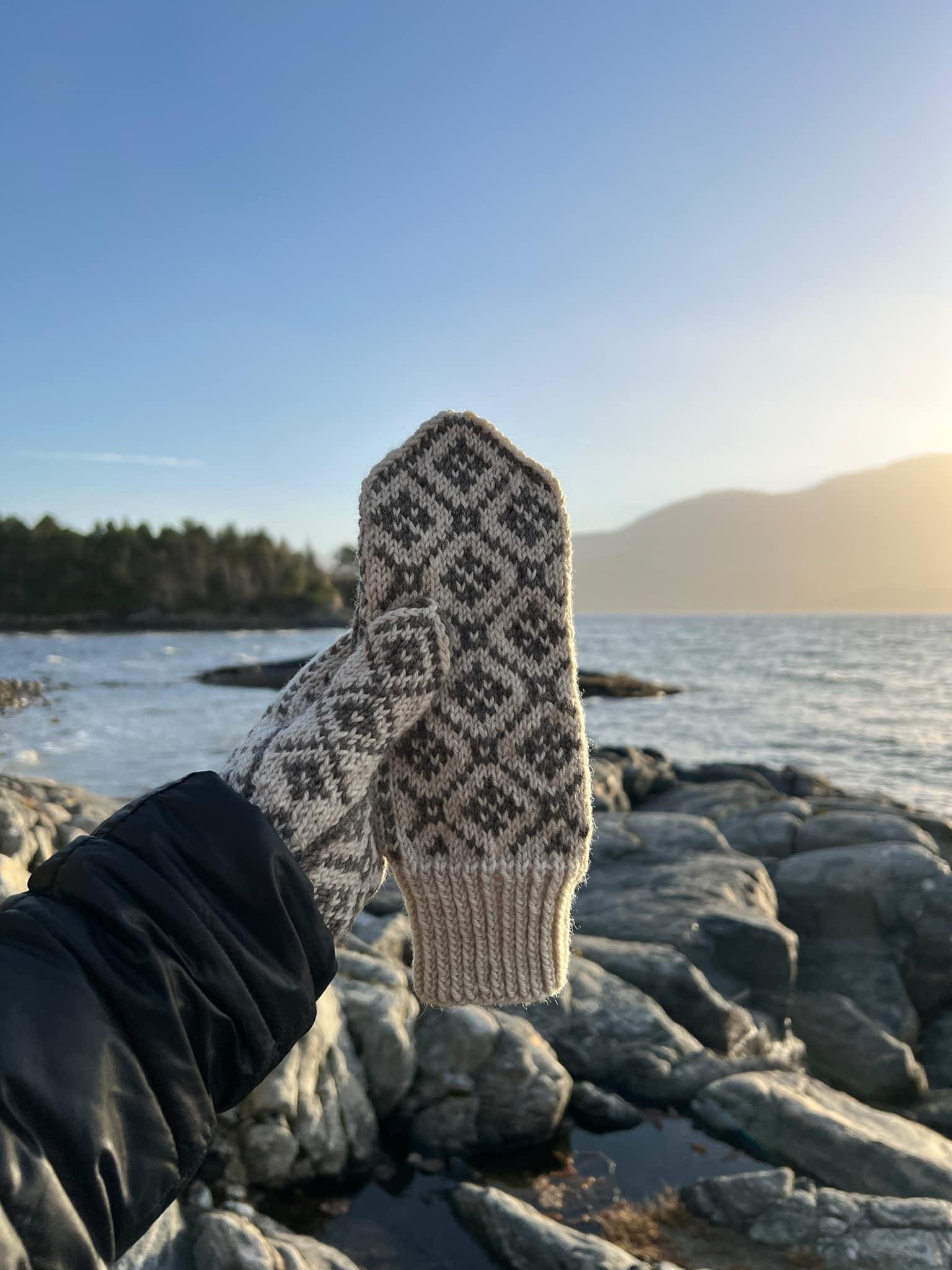 美品 NOROLL PATCH MITTEN NOROLL】ユニセックス PATCH MITTENグローブ（NOROLL】ユニ