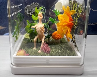 Jumping Spider Enclosure 4x4x4 Dinosaur Themed Arboreal Arachnid Habitat, Paleontology Spider House, Spood Tank