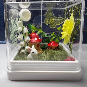 Jumping Spider Enclosure 4x4x4 Red Mushroom Themed Arboreal Arachnid Habitat, Toadstool Fairy Garden Spider House, Spood Tank