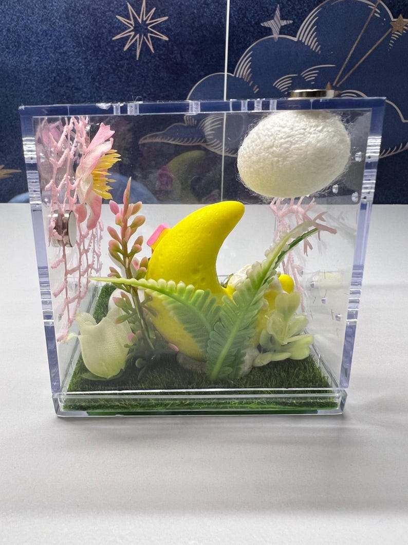 Jumping Spider Enclosure 3x3x3 Land of Nod Arboreal Arachnid Habitat