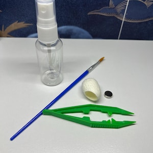 Puede incluir: Un conjunto de herramientas para hilar seda, que incluye una botella de spray de plástico transparente, un pincel azul, un capullo de seda blanco, unas pinzas verdes y un pequeño imán plateado.