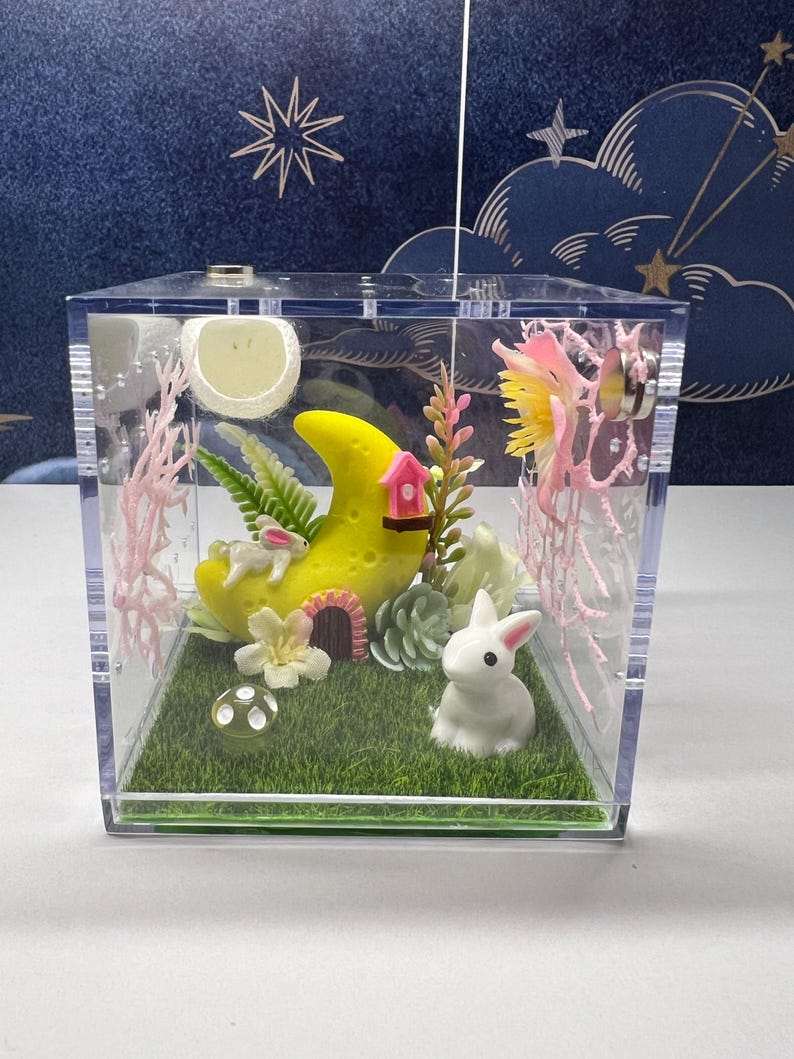 Jumping Spider Enclosure 3x3x3 Land of Nod Arboreal Arachnid Habitat