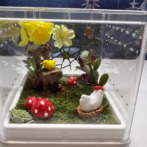 Jumping Spider Enclosure, 4x4x4 Chicken and Toadstool Mushroom Themed Arboreal Arachnid Habitat, Spider House, Fairy Garden Theme Spood Tank