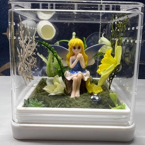 Jumping Spider Enclosure, 4x4x4 Blue Fairy Themed Arboreal Arachnid Habitat, Spider House, Fairy Garden Theme Spood Tank
