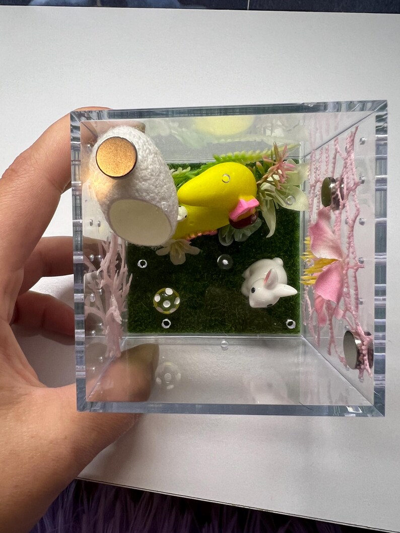 Jumping Spider Enclosure 3x3x3 Land of Nod Arboreal Arachnid Habitat