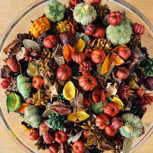 Pumpkin Spice Potpourri with Refresher Oil - Fall Scented Bowl Filler