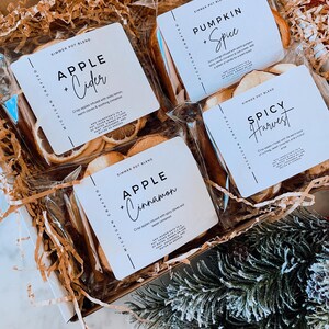 May include: Four small bags of dried fruit and spice blends for simmering potpourri. The bags are labeled "Apple Cider", "Pumpkin Spice", "Apple Cinnamon", and "Spicy Harvest".