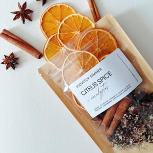 Overhead shot of citrus spice eucalyptus simmer pot with dried oranges and cinnamon sticks