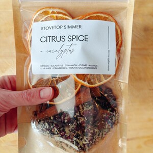 Hand holding a bag of citrus spice stovetop potpourri
