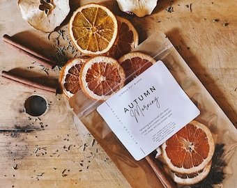 Fall-Inspired Simmering Potpourri | Set of 5 Pumpkin & Clove Aromas
