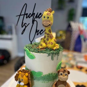 Custom Acrylic Cake Topper, Personalised Name or phrase Topper for Birthdays & Events