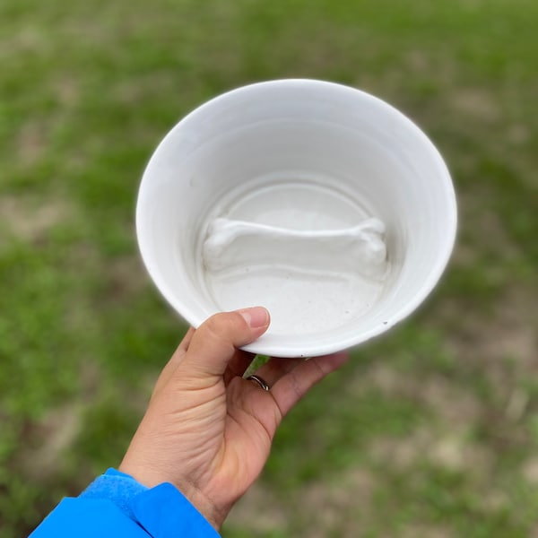 Slow Feeding Bowl - wir haben eine Vielzahl von Schalen zur Auswahl