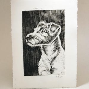 Terrier – Handgefertigtes Tierportrait als Radierung, limitiertes und signiertes Unikat