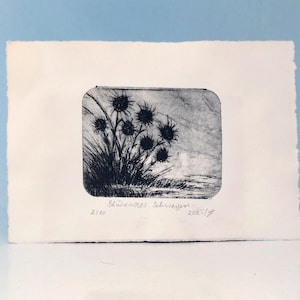 Thistle etching – original small-format print | Hand-printed plant art | Drypoint on handmade paper
