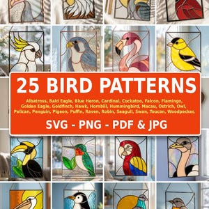 May include: A digital collection of 25 bird patterns for stained glass art, including designs for an albatross, eagle, heron, cardinal, cockatoo, falcon, flamingo, goldfinch, hornbill, hummingbird, macaw, ostrich, owl, pelican, penguin, and more.