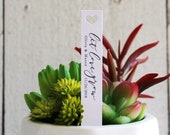 Let Love Grow Succulent Tag Succulent Stakes Wedding Favors Bridal Shower Favor Plant Stakes Succulent Favor Favor Tags (S007)