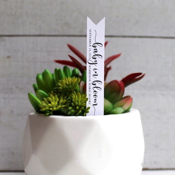 Baby In Bloom Succulent Tags | Succulent Stake | Baby Shower Favors | Baby Sprinkle Favors | Favor Tags | Gift Tags | Succulent Favor (S001)