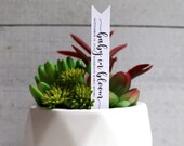 Baby In Bloom Succulent Tags Succulent Stake Baby Shower Favors Baby Sprinkle Favors Favor Tags Gift Tags Succulent Favor (S001)