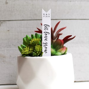 deixe o amor crescer etiqueta suculenta | Estacas Suculentas | Lembrancinhas de casamento | Favor do chá de panela | Estacas de Plantas | Favor Suculenta | Etiquetas de favor (S003)