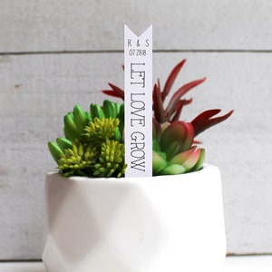 deixe o amor crescer etiqueta suculenta | Estacas Suculentas | Lembrancinhas de casamento | Favor do chá de panela | Estacas de Plantas | Favor Suculenta | Etiquetas de favor (S002)