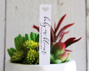 Baby In Bloom Succulent Tags | Succulent Stake | Baby Shower Favors | Baby Sprinkle Favors | Favor Tags | Gift Tags | Succulent Favor (S008)